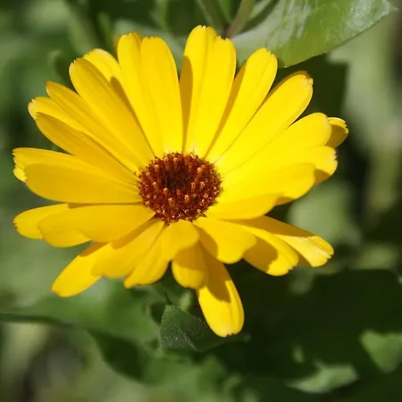 Krepper * Erpfendorf