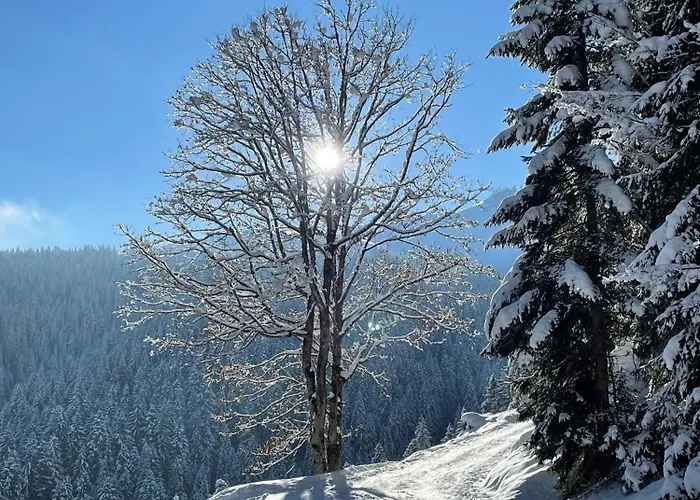 Krepper Эрпфендорф