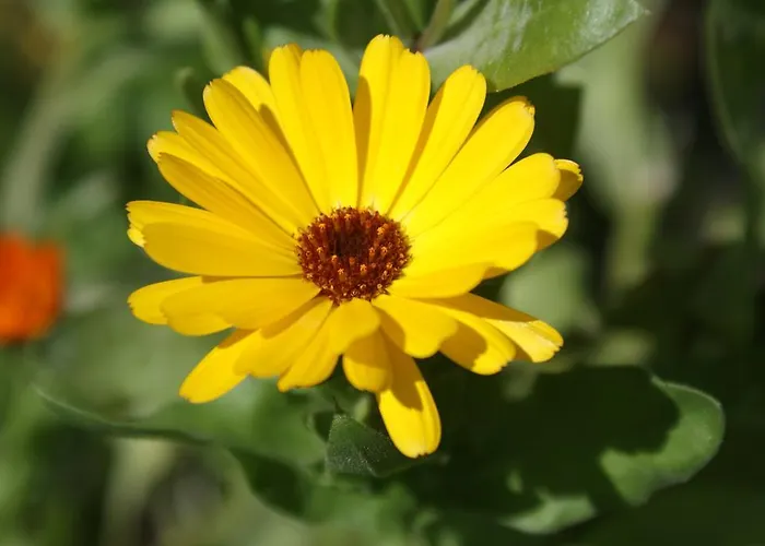 Krepper * Эрпфендорф